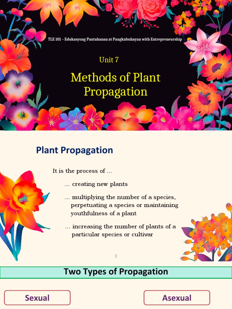 Plant Propagation Techniques Overview | PDF | Grafting | Seed