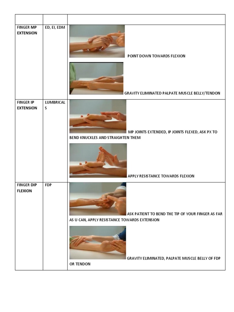 Extension PDF Anatomical Terms Of Motion Thumb