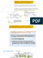 Actividad Seminario - Ciclos C3/C4/CAM