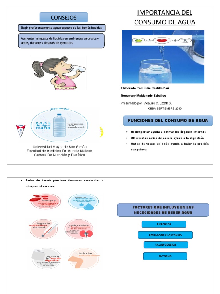Importancia del Consumo de Agua | PDF