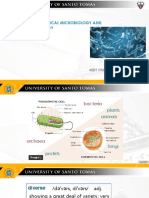 3 Bacteria 1 PDF