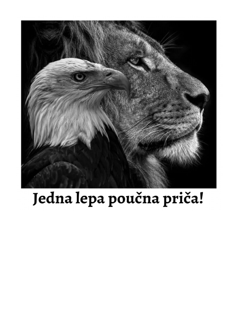 Орао | PDF