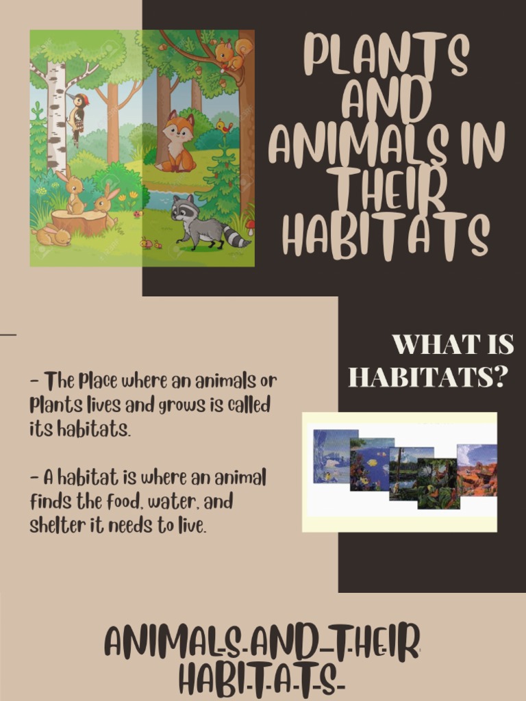 Plants and Animals in Their Habitats PDF