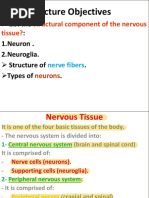 Pons Cross Section Anatomy Overview | PDF | Neuroscience | Neuroanatomy