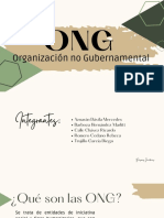 Organización No Gubernamental