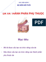 Da và các phần phụ thuộc