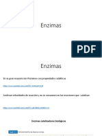 Enzimas