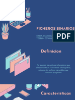 Ficheros Binarios Presentacion