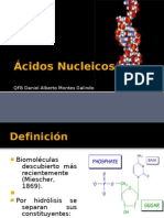 Ácidos Nucleicos