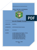 Area Estudio Pericial - Guzman Llaza - Ets - PNP