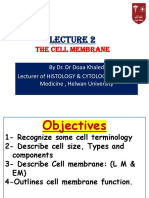 Cell Membrane Functions and Structure