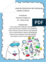 Proteinas Informe Quimica