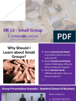Human Communication (COM100) CH 13 Small Group