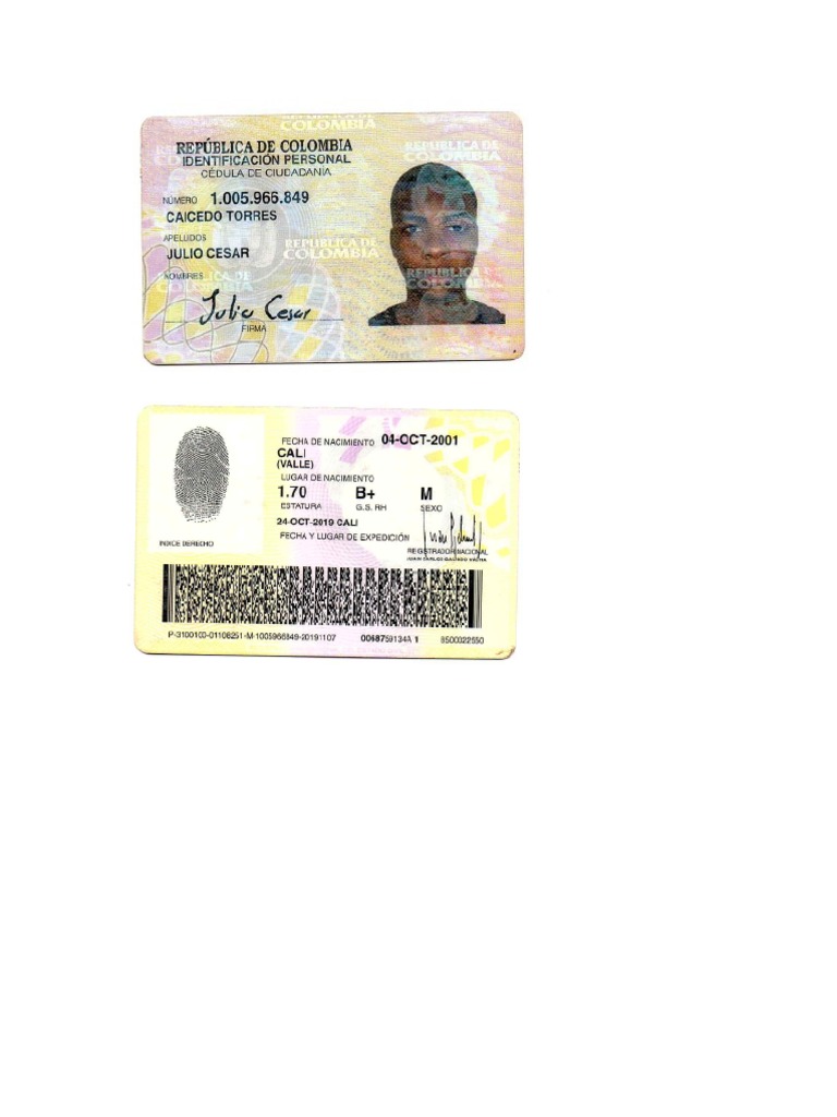 Cedula Julio Cesar PDF