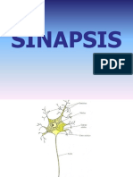 Clase 04 - Sinapsis