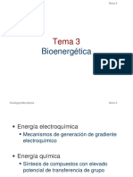 T3. Bioenergética