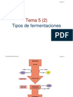 T5. Fermentaciones 21 - 22 (2) - Egela