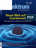 Spektrum Der Wissenschaft 10.20