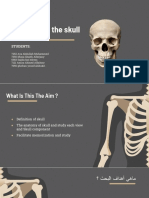 Anatomy of The Skull