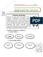 Comprension de Textos 25-03-22 Ficha