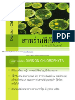 Division Chlorophyta เนติ