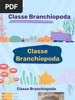 Classe Branchiopoda (Nosso)