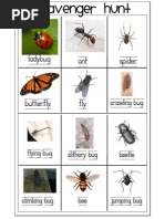 Download Bug Scavenger Hunt by ToddlerApproved SN61341986 doc pdf