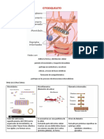 Fisiología