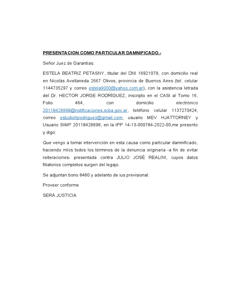Presentacion Como Particular Damnificado PDF