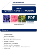 Tema 2.1. Bacterias - Morfologia - Compressed