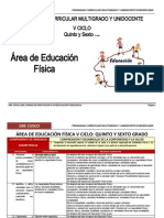 V Ciclo Educación Física - Agp-Dre Cusco