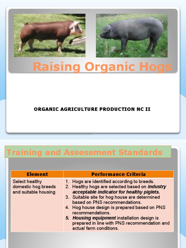 EL1 Raise Organic Hogs PDF Pig Agriculture