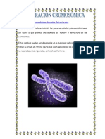 Anomalías Cromosómicas fanny