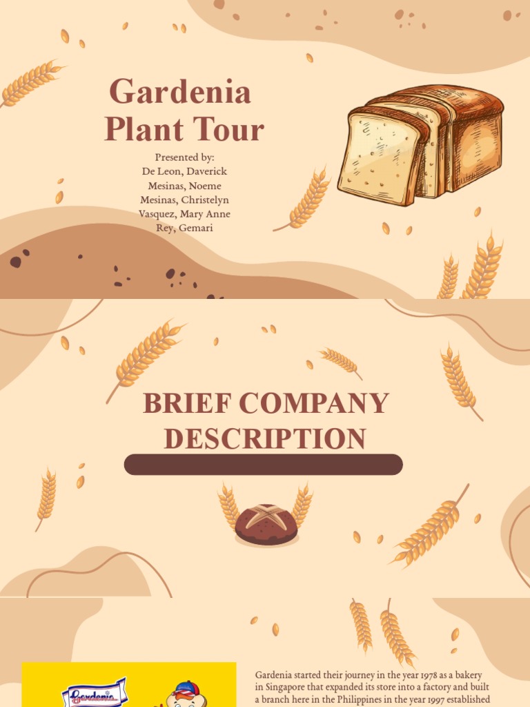 Gardenia Bread Plant Tour: An Overview of Gardenia's Production ...