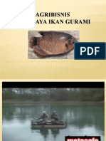 Ikan Gurame