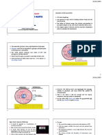 MST-4 Glycolysis and Rigor Mortis