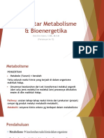 Pengantar Metabolisme & Bioenergetika: Dian Dini Islami, S.KM., M.K.M (Pertemuan Ke 13)