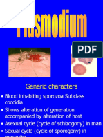 Plasmodium