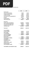 BRICS and Co Balance Sheet at December 31, Years 2021 & 2022