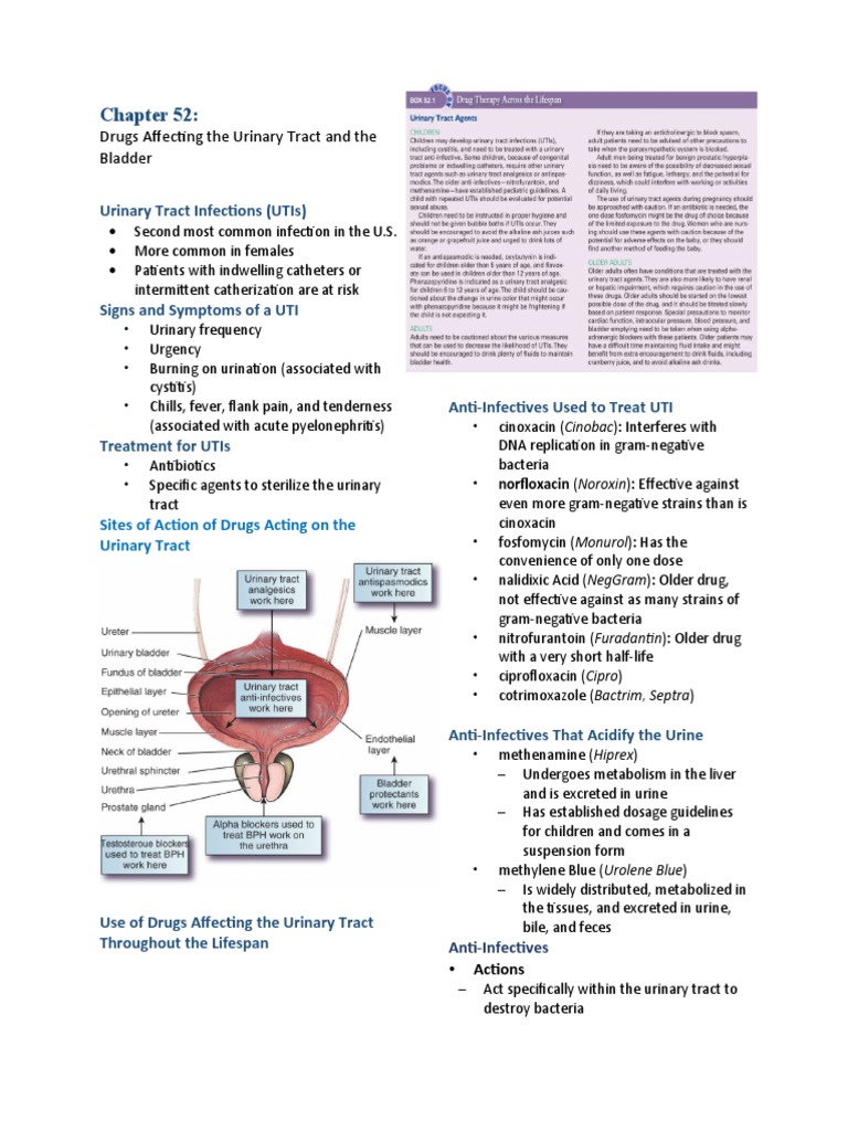 Lecture 12 Chapter 52 PDF Urinary Tract Infection Causes Of Death