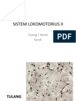 Sistem Lokomotorius 2-Tulang&Sendi