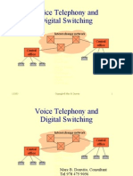 Voice Telephony and Digital Switching: Interexchange Network