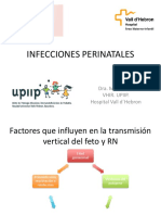 Infecciones perinatales: factores de riesgo, patogenia y diagnóstico de citomegalovirus y toxoplasmosis congénitos