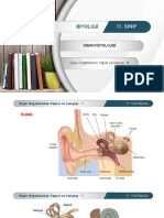 Duyu Organlarının Yapısı Ve Işleyişi 2 Ogm