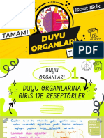 Duyu Organları PDF