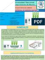 Calculos Hidraulicos de Humedales