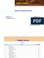 Pidilite: Marketing Plan for Fevicol