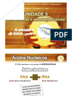 Descoberta Do DNA p2