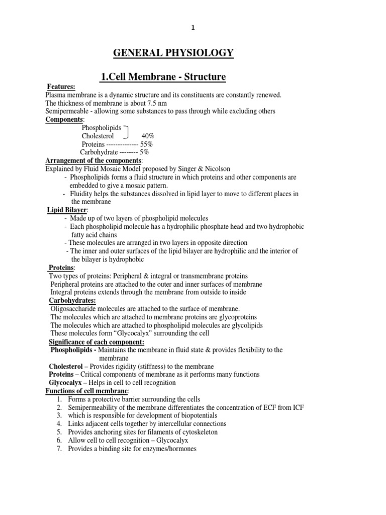 Physiology Notes 1 | PDF | Muscle Contraction | Chemical Synapse