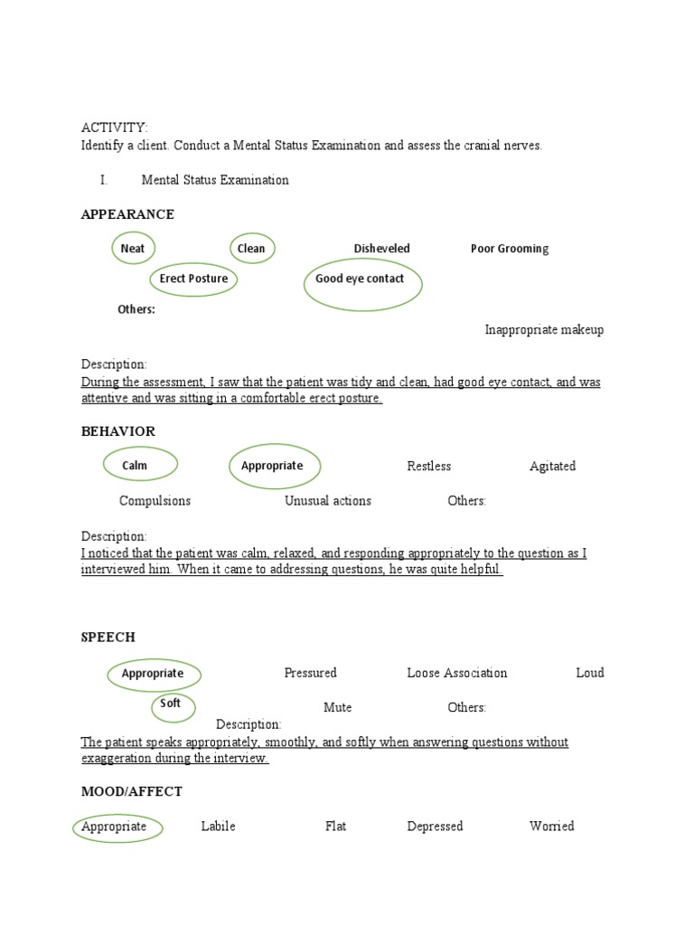 NeuroSensory Assessment Activity PDF Neuroscience Nervous System